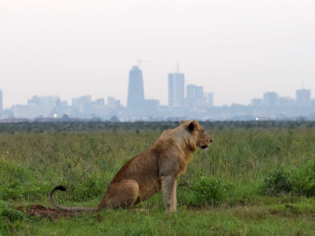 Nairobi National Park